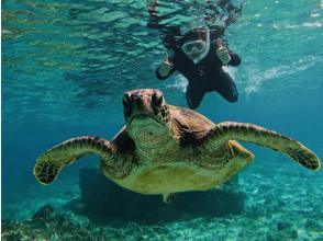 【奄美大島浮潛+燒烤】【冬季也舒適】與海龜一起游泳♪燒烤或島嶼黑豬肉涮涮鍋/含拍照及熱水淋浴
