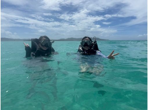 [Maximum transparency] Snorkel with tropical fish 《The sea is clearest in winter》の画像