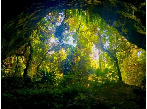 [Rain or wind OK] Spectacular cliff views, castle ruins, and observation deck! Kumejima sightseeing tourの画像