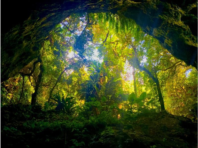【北海道・SUP体験】透明度の高い支笏湖の湖面をクルージング！SUP体験（半日コース）の画像