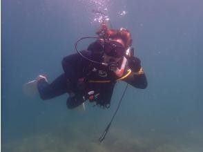 【大阪発・和歌山】ライセンス必須・ビーチ２DIVE★迷子ダイバーwelcome！和歌山の海でリフレッシュダイブ（お一人様参加）