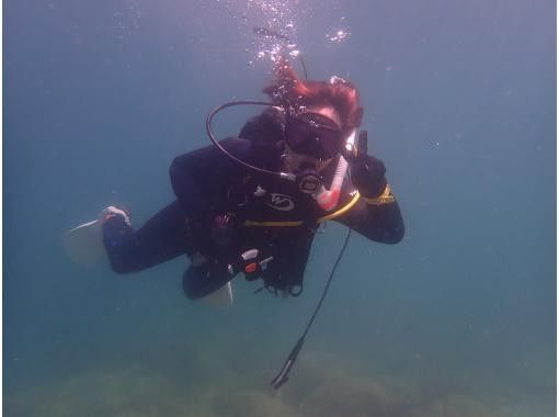 【大阪発・和歌山】ライセンス必須・ビーチ２DIVE★迷子ダイバーwelcome！和歌山の海でリフレッシュダイブ（お一人様参加）の画像