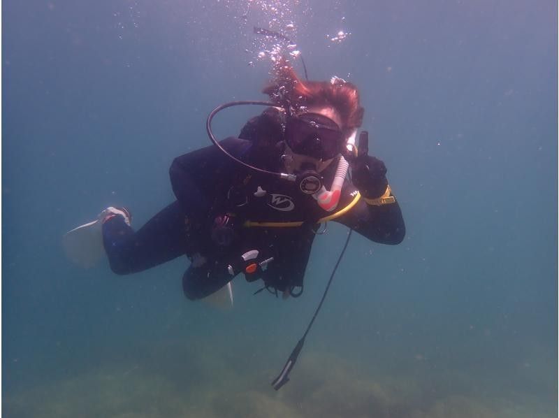 【大阪発・和歌山】ライセンス必須・ビーチ２DIVE★迷子ダイバーwelcome！和歌山の海でリフレッシュダイブ（お一人様参加）の紹介画像