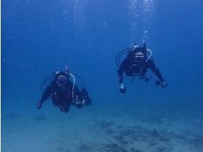 【大阪発・和歌山】ライセンス必須・ビーチ２DIVE★迷子ダイバーwelcome！和歌山の海でリフレッシュダイブ（2人で参加）