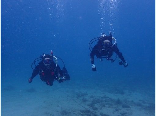 【大阪発・和歌山】ライセンス必須・ビーチ２DIVE★迷子ダイバーwelcome！和歌山の海でリフレッシュダイブ（2人で参加）の画像