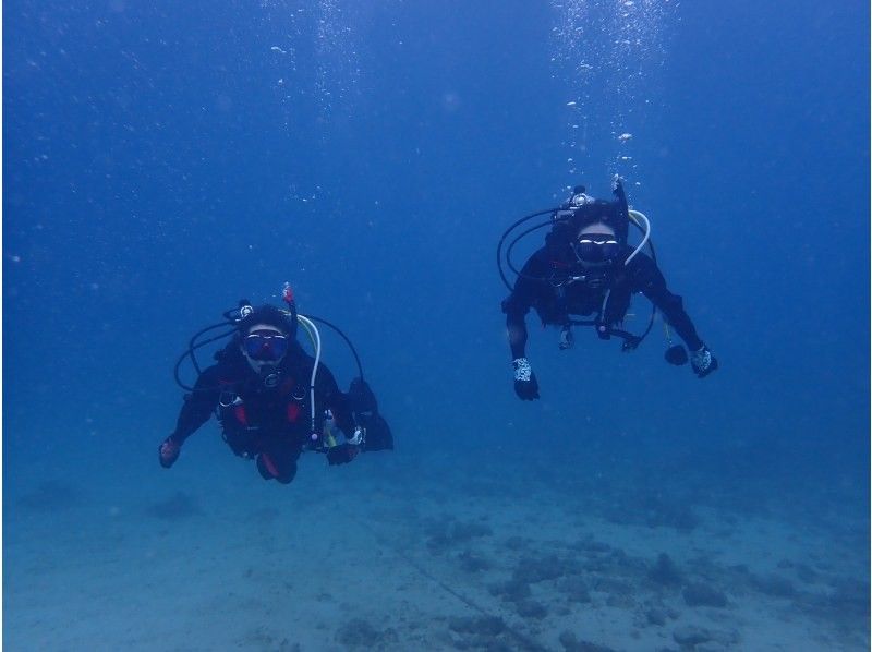 【大阪発・和歌山】ライセンス必須・ビーチ２DIVE★迷子ダイバーwelcome！和歌山の海でリフレッシュダイブ（2人で参加）の紹介画像