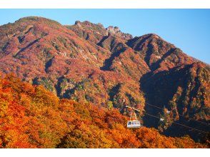 【新潟・越後湯沢】八海山ロープウェーと清酒八海山 魚沼の里を訪ねる旅