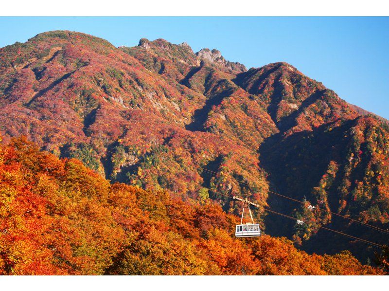 【送迎付 １名～】八海山ロープウェーと清酒八海山 魚沼の里を訪ねる旅の紹介画像