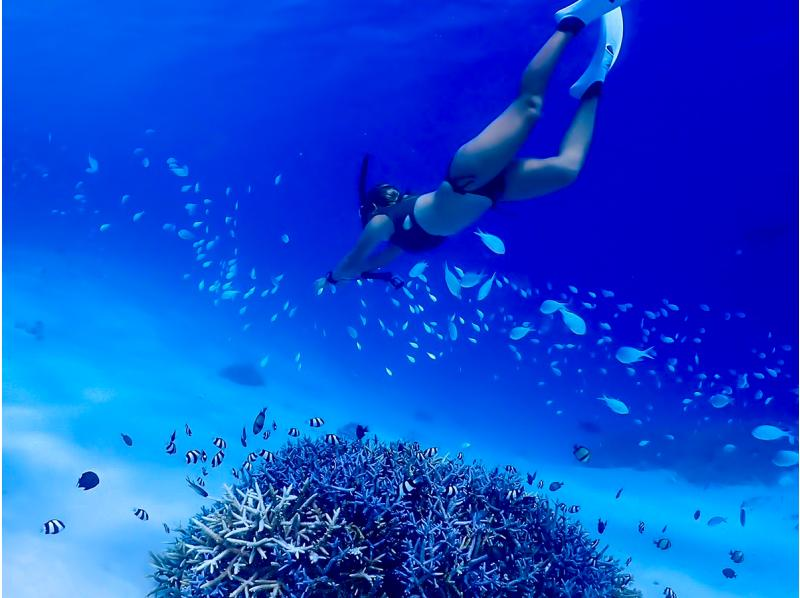 [Okinawa, Kerama Islands] Snorkeling tour ★ Beginners are welcome ★ Accompanied by a veteran diver with over 30 years of experience ★ We will guide you to the special underwater world of Zamami!の紹介画像