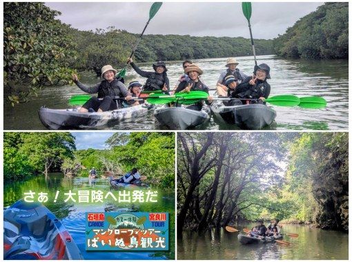【石垣島/宮良川】遊びに迷ったらコレ♪宮良川マングローブで感動の大冒険★背もたれイス付きカヤックツアー！自然も腰も安心サポートの画像