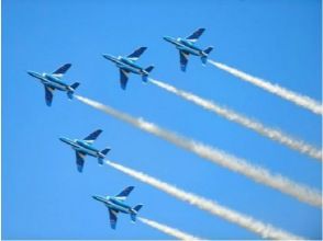 ≪11月3日限定≫ブルーインパルス飛行の大迫力航空ショー！航空自衛隊入間航空祭2025バスツアー～軽食付き～【029029-1455】