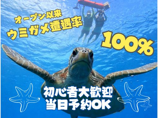 【青の洞窟＆高確率で会えるウミガメシュノーケル】☆初心者大歓迎☆〈当日予約2〜75歳OK〉〈写真データ・送迎・機材無料〉体験時間1.5時間の画像