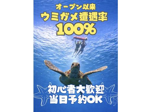 【青の洞窟＆高確率で会えるウミガメシュノーケル】☆初心者大歓迎☆〈当日予約2〜75歳OK〉〈写真データ・送迎・機材無料〉体験時間1.5時間の画像