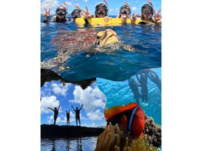 【石垣島/青の洞窟】青の洞窟＆高確率で会えるウミガメシュノーケル★当日予約2〜75歳OK ＜写真データ・送迎・機材無料＞体験時間1.5時間