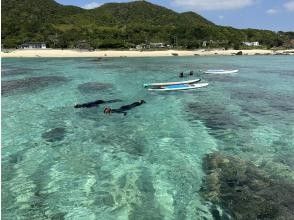 【鹿児島・奄美大島】ウミガメを探すシュノーケルツアーとSUP体験〜2つの欲張りコース〈半日プラン・初めての方歓迎〉