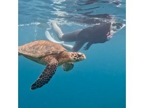 ウミガメシュノーケリング