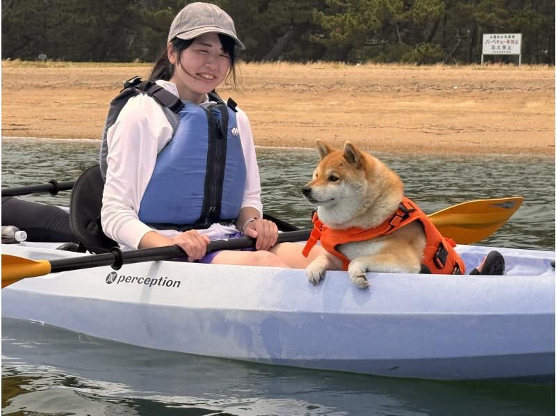 愛犬と一緒にシーカヤック！【ワン！だふるツアー】２時間の紹介画像