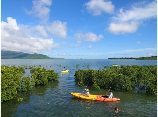 [Okinawa, Kohama Island] Participation is open to children aged 1 and over ☆ Mangrove Kayak Tour! Enjoy the subtropical nature ♪ Held only at high tideの画像