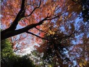 【福島県・いわき市】いわきあるき【ビンゴdeいわきあるき】ビンゴで紅葉満喫コース