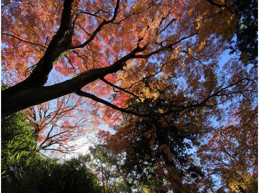 【福島県・いわき市】いわきあるき【ビンゴdeいわきあるき】ビンゴで紅葉満喫コースの画像