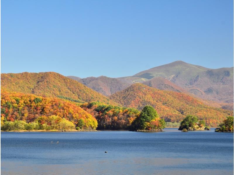 【福島・裏磐梯】◆紅葉SUPシーズン到来◆初心者OK＆寒い日も安心ウェットスーツ完備♪福島県＆隣県の方は限定割引〈犬ワンちゃんOK〉の紹介画像