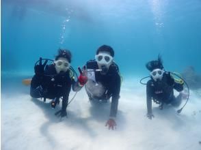 【沖縄・石垣島】〈1日体験ダイビング〉2dive＆ウミガメシュノーケリングプラン☆贅沢コース！！