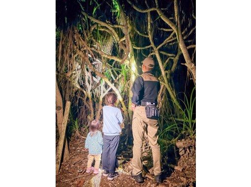 【沖縄・宮古島】月明かりの下でワクワク！懐中電灯を片手にドキドキ。日本最大のヤシガニを探す夜の大冒険なナイトツアー！貴重な体験がここに！の画像