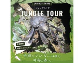 【沖縄・宮古島】月明かりの下でワクワク！懐中電灯を片手にドキドキ。日本最大のヤシガニを探す夜の大冒険なナイトツアー！貴重な体験がここに！