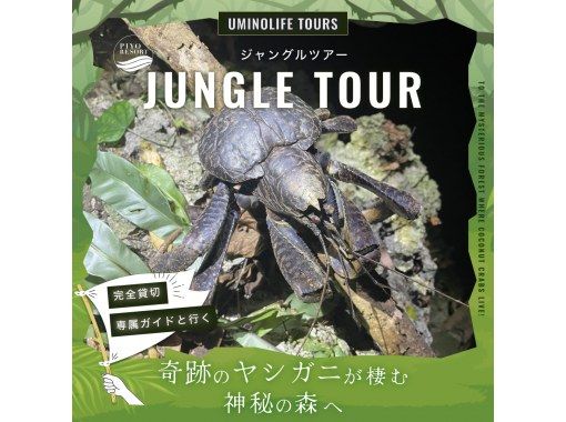 【沖縄・宮古島】月明かりの下でワクワク！懐中電灯を片手にドキドキ。日本最大のヤシガニを探す夜の大冒険なナイトツアー！貴重な体験がここに！の画像