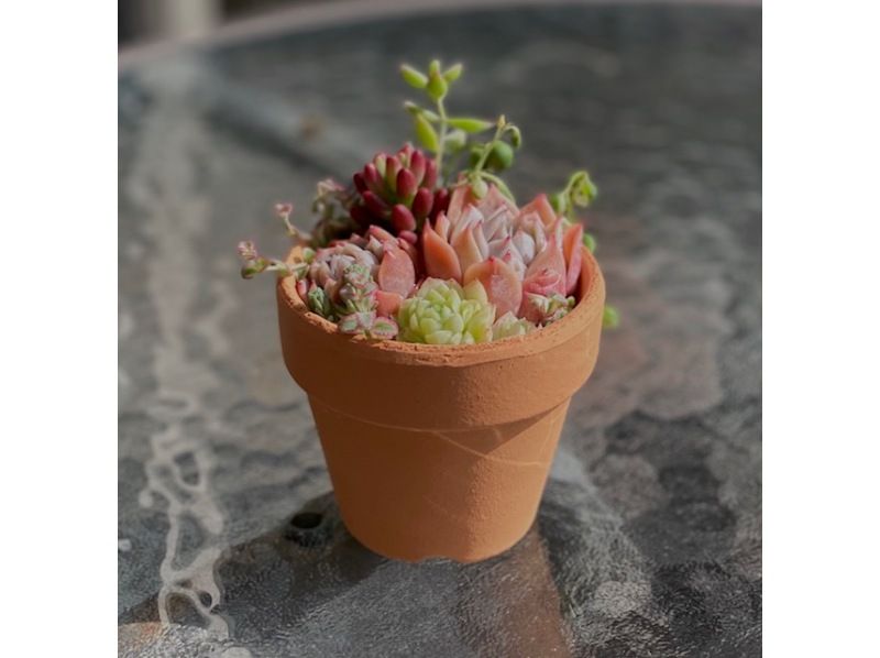 【北海道・SUP体験】透明度の高い支笏湖の湖面をクルージング！SUP体験（半日コース）の画像