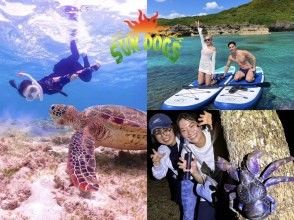 [มิยาโกจิมะ - ครบจบใน 1 วัน] ดำน้ำตื้นชมเต่าทะเล + SUP + ทัวร์กลางคืน | แผนพรีเมียมเพื่อเพลิดเพลินกับทะเล ท้องฟ้า และดวงดาว