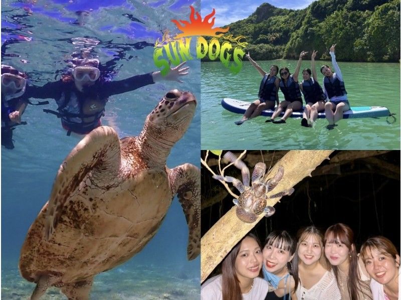 [มิยาโกจิมะ - ครบจบใน 1 วัน] ดำน้ำตื้นชมเต่าทะเล + SUP + ทัวร์กลางคืน | แผนพรีเมียมเพื่อเพลิดเพลินกับทะเล ท้องฟ้า และดวงดาวの紹介画像