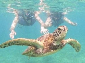 【宮古島・1日完結】海亀シュノーケル＋SUP＋ナイトツアー｜海・空・星を楽しむプレミアムプラン