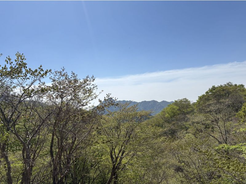 【三重・鈴鹿】鈴鹿山脈　雨乞岳登山（女性限定プラン）の紹介画像