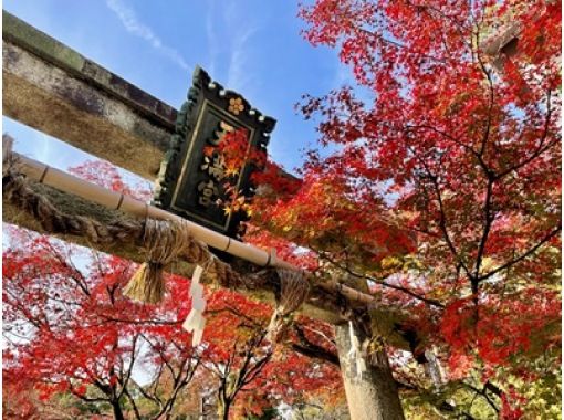 【京都駅発着】西山紅葉めぐり：紅葉の名所「光明寺」と歴史情緒あふれる長岡天満宮、花手水で人気の柳谷観音 楊谷寺を巡る贅沢バスツアー！昼食付きの画像
