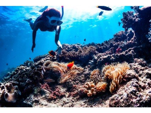 【北谷町】スキンダイビング！素潜りレクチャー❤️タオルサンダル餌付け無料❗️プロ仕様カメラの写真動画無料プレゼント‼️初心者歓迎⭕️当日⭕️の画像