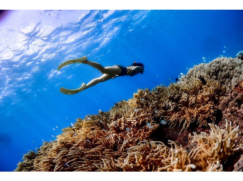 【北海道・SUP体験】透明度の高い支笏湖の湖面をクルージング!SUP体験(半日コース)の画像