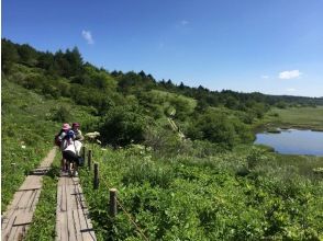 【長野・霧ヶ峰】山小屋ランチ付き！八島湿原ウォーク～ガイドと歩く霧ヶ峰 4時間