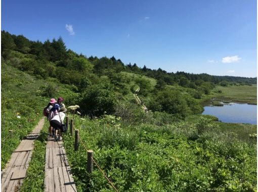 【長野・霧ヶ峰】山小屋ランチ付き！八島湿原ウォーク～ガイドと歩く霧ヶ峰 4時間の画像