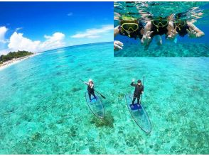 [沖繩縣本部町] 透明SUP和浮潛冒險：在清澈的海水中與五顏六色的魚互動！