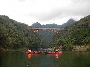 屋久島らんぶりん