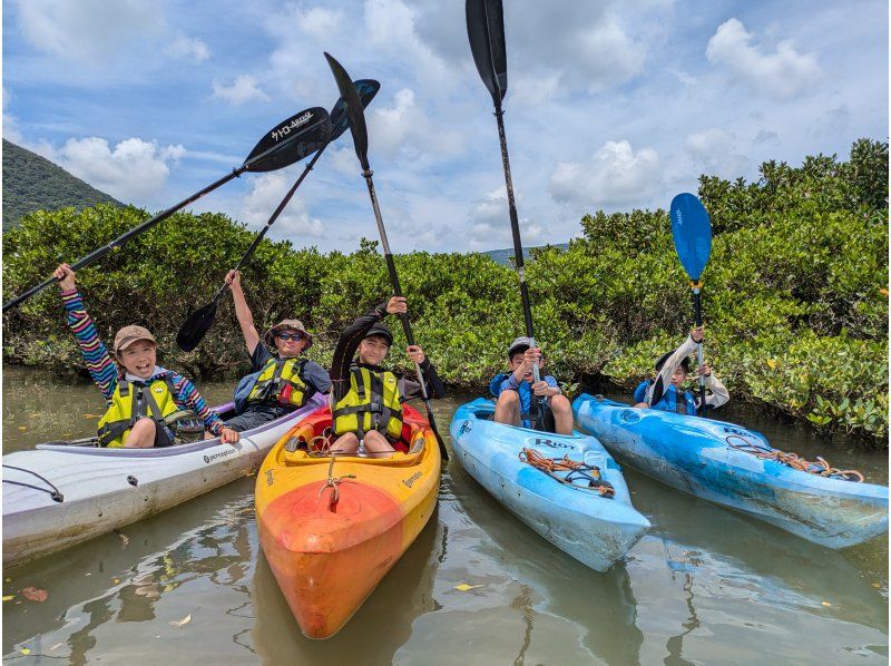 [Amami] "Mangrove Kayaking & Hikage Hego Forest Walking Tour" from a secret base. An exciting and relaxing plan for small groups - beginners welcome!の紹介画像