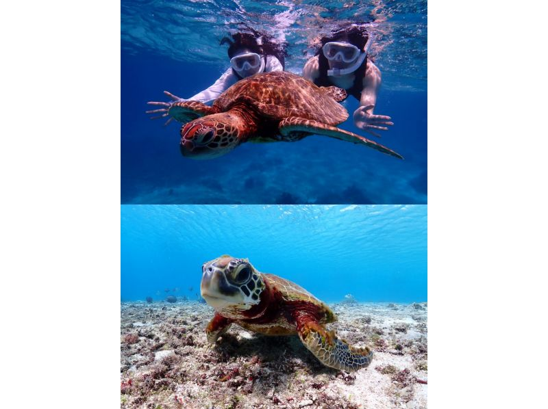 【北海道・SUP体験】透明度の高い支笏湖の湖面をクルージング！SUP体験（半日コース）の画像