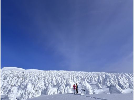[Yamagata, Zao] Snow Hike - A winter wonderland created by Zao's natural beauty. Enter the world of silver with a guide! Includes a photo gift.の画像