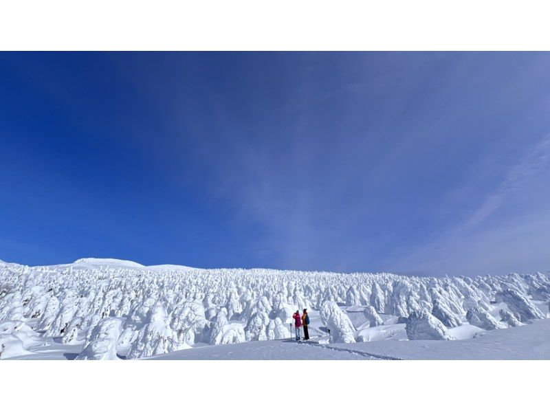 【山形・蔵王】樹氷スノーハイキング 蔵王の大自然がつくる、冬だけの神秘。ガイドと一緒に白銀の世界へ！写真プレゼント付きの紹介画像