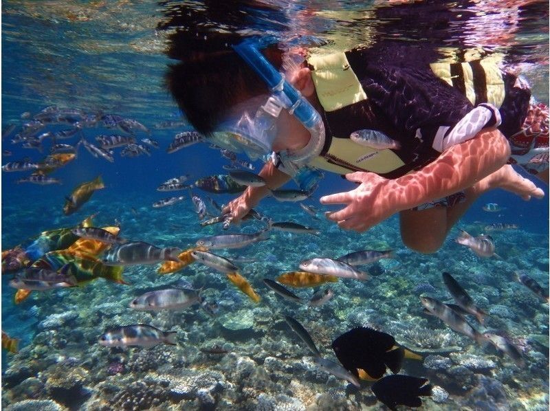 【沖縄・水納島】日帰り海水浴&ボートシュノーケル&体験ダイビング or パラセーリング(Aプラン)