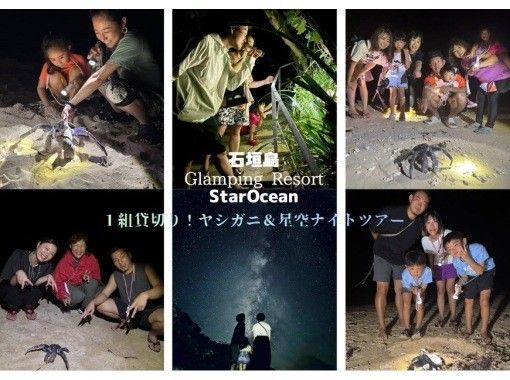 [Ishigaki Island / Private tour for one group] Coconut crab and starry sky night tour [Participants from 1 year old are welcome] Experience endangered species and photograph the Milky Way ☆ Coconut crab encounter rate remains 100%!の画像