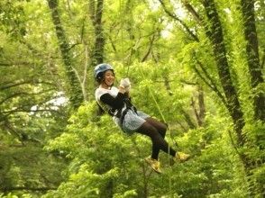 関西のツリークライミング 木登り 体験 ツアーのアクティビティ 遊び 体験 レジャーの格安予約 アクティビティジャパン 日帰り旅行