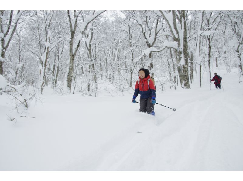[Akita, Hachimantai] Yamagemori BUNAMORI Ski Hike Tour ~Explore the powder snow beech forest~の紹介画像