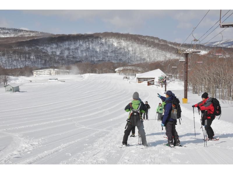 [Akita, Hachimantai] A tour to search for traces of Asiatic black bears in the winter forestの紹介画像